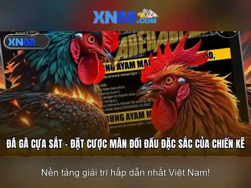 Lịch sử và uy tín