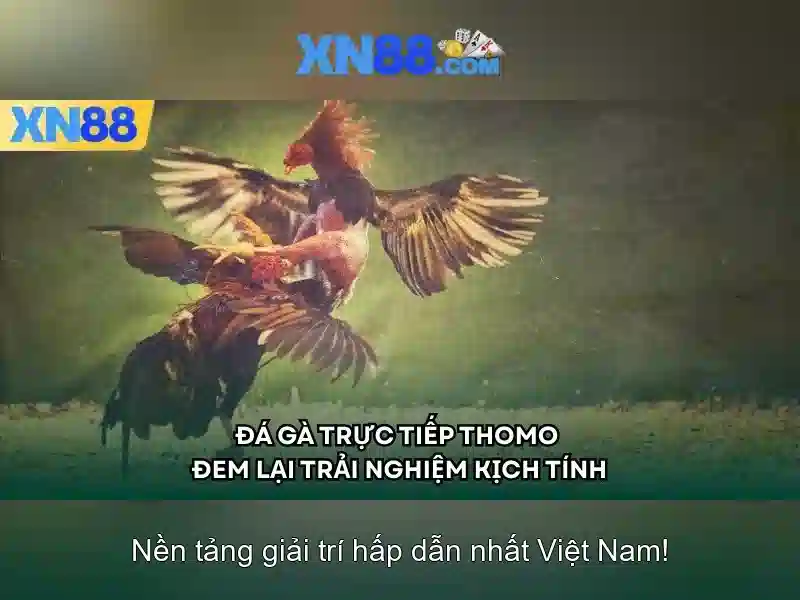 xn88 app com: Trải nghiệm đỉnh cao và nền tảng đổi mới