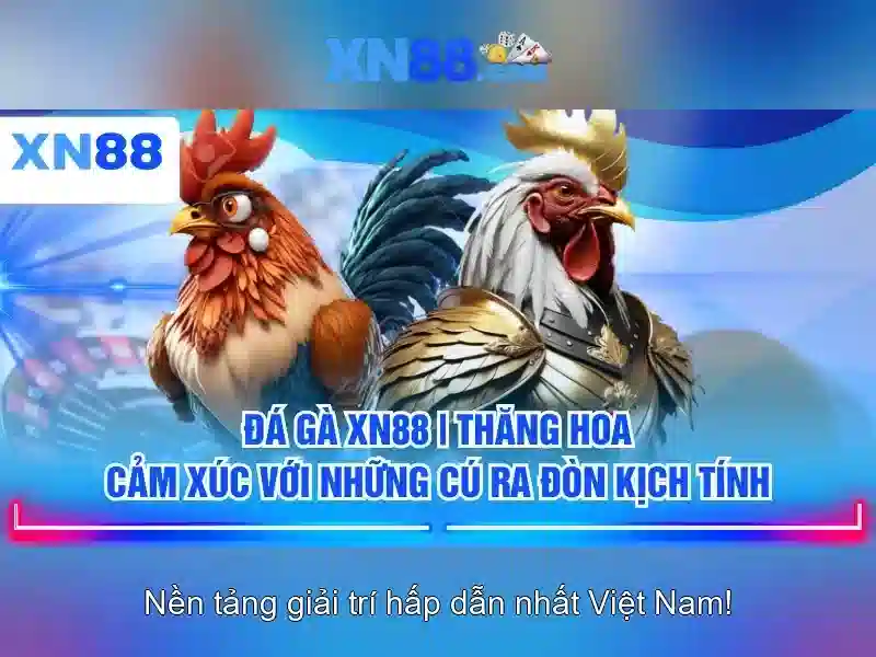 Lịch sử và mục tiêu