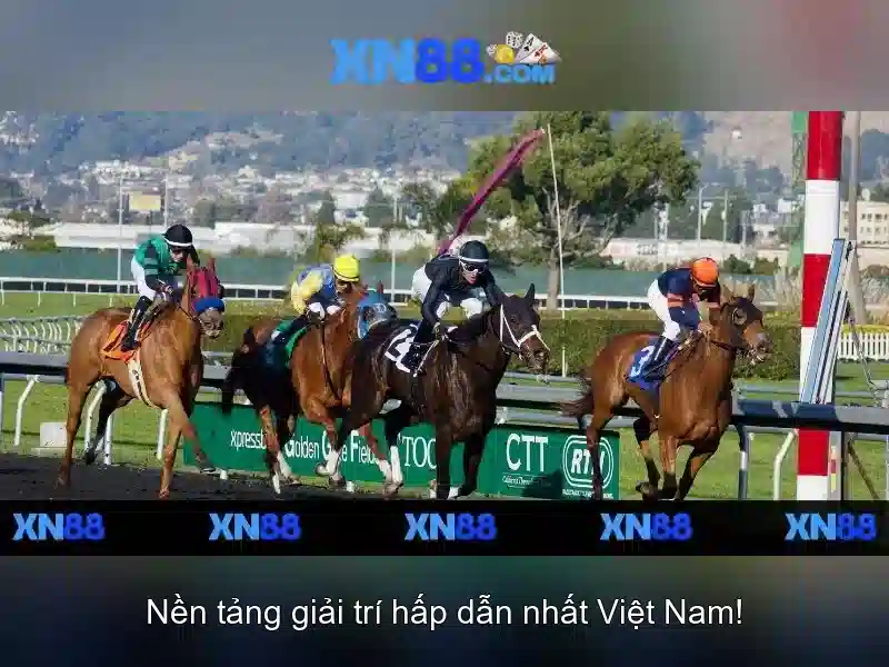 <!--IMG_PLACEHOLDER alt>Kết luận về xn88-->