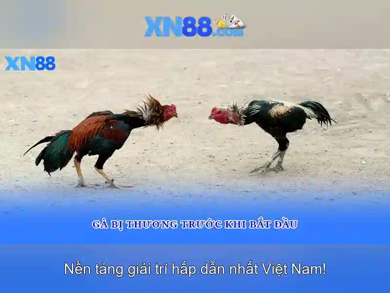 An toàn và bảo mật khi sử dụng xn88