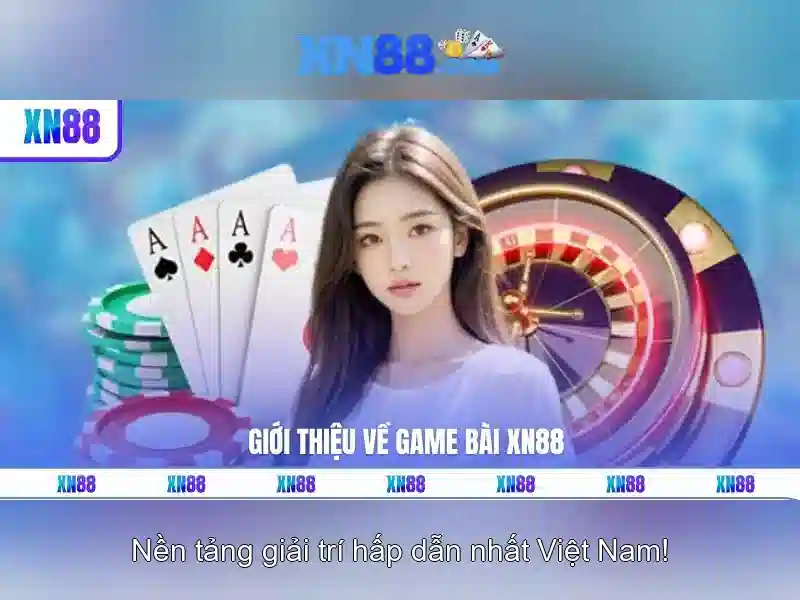 Kết luận và lưu ý cho người dùng