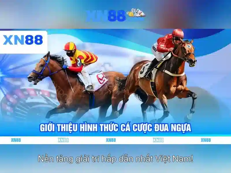 Khuyến nghị và trách nhiệm chơi