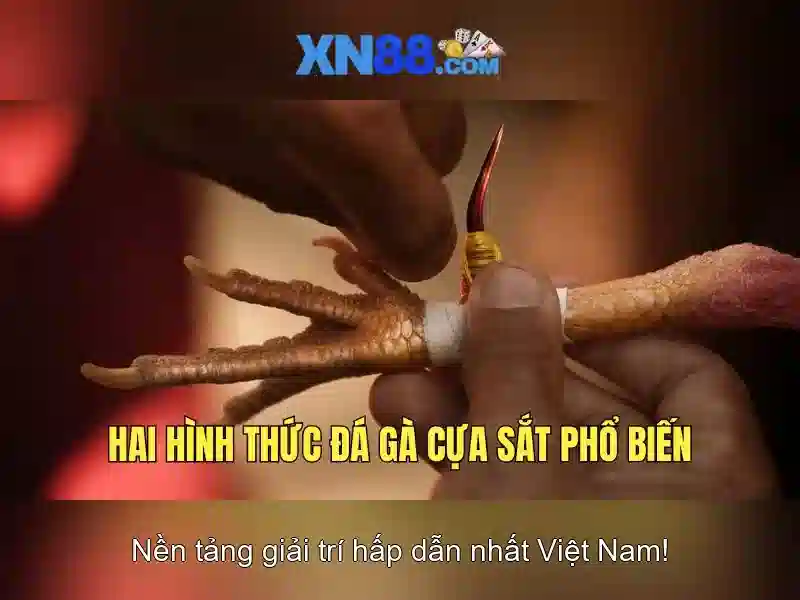 tải xn88: đẳng cấp trải nghiệm với tải game xn88 và ap xn88
