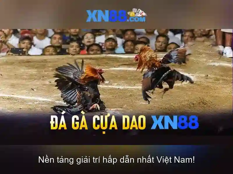 xn88: nền tảng giải trí trực tuyến nổi bật tại Việt Nam