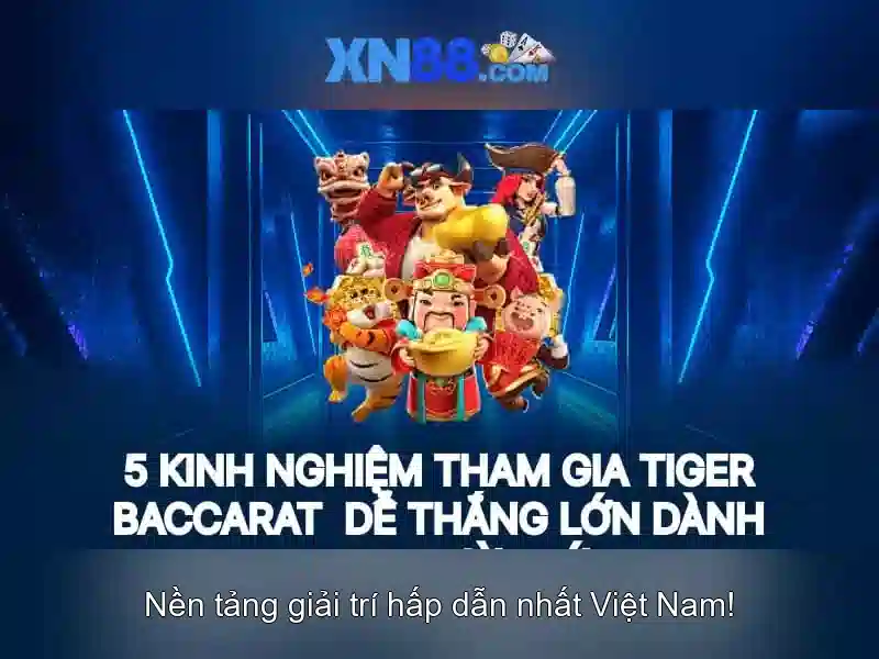 Xn88: Khám phá nền tảng và trải nghiệm