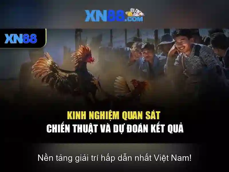 xn88: Khám phá nền tảng giải trí trực tuyến