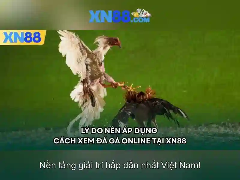 xn88 là gì? Khám phá nền tảng giải trí và cá cược