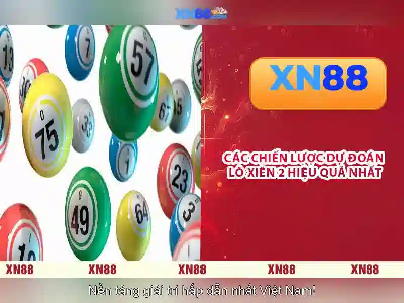 Trải nghiệm người dùng và hỗ trợ