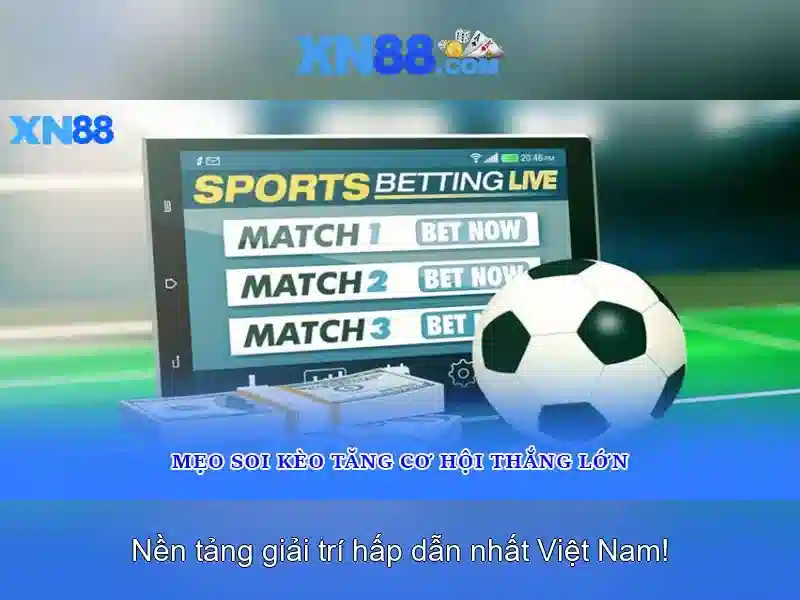 tải xn88 – chủ đề tổng quan và giá trị cốt lõi