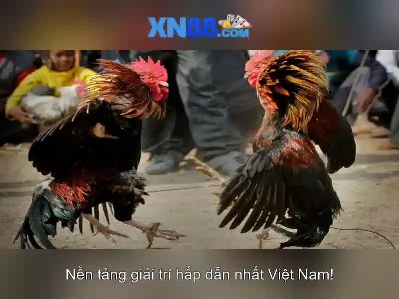 Cách sử dụng và lợi ích