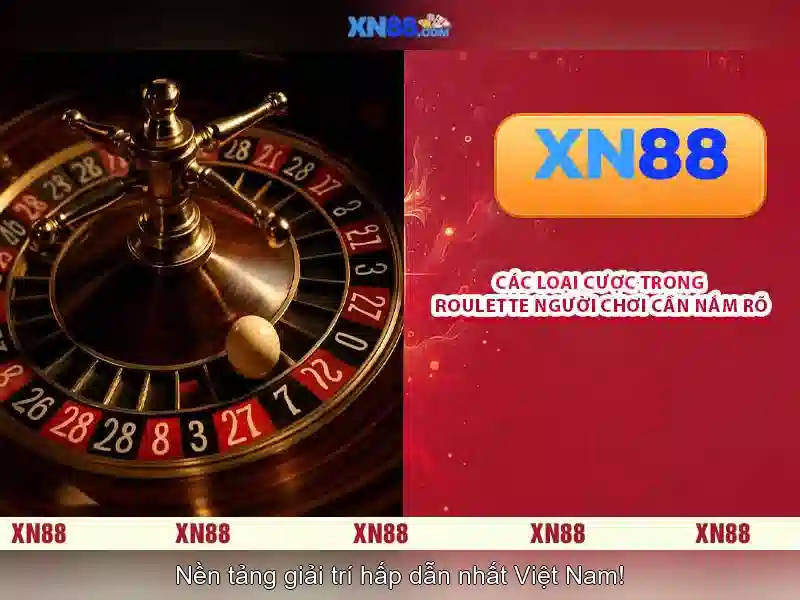 Hỗ trợ khách hàng và kết nối cộng đồng
