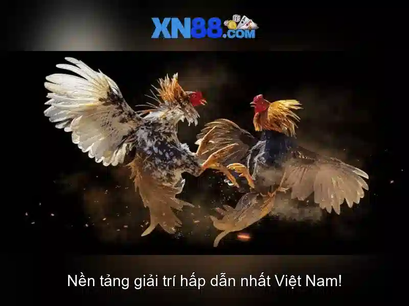 An toàn và bảo mật cho người dùng