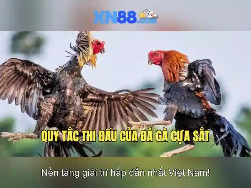xn88 – Nền tảng trò chơi và cược trực tuyến