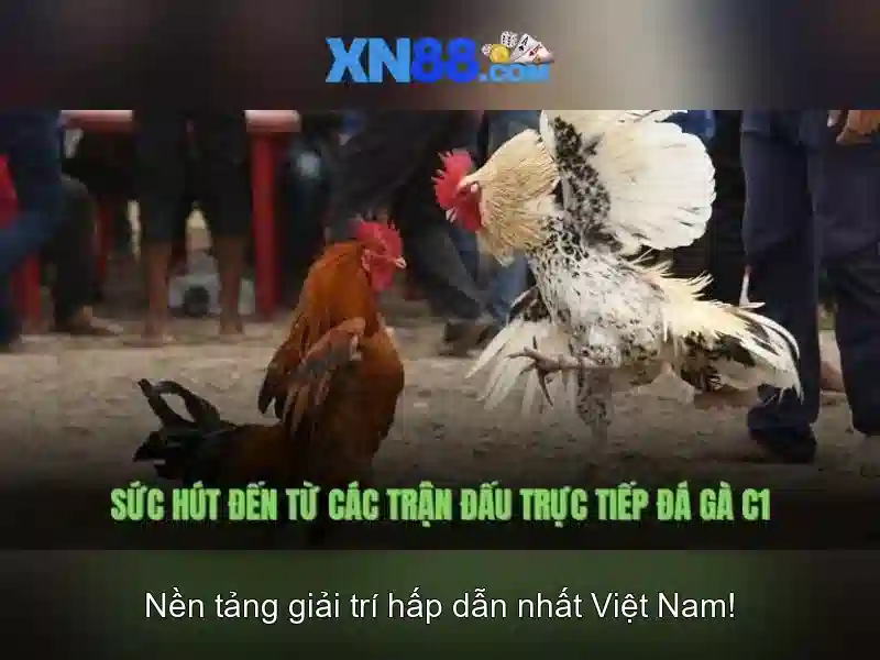 Giới thiệu về Xn88