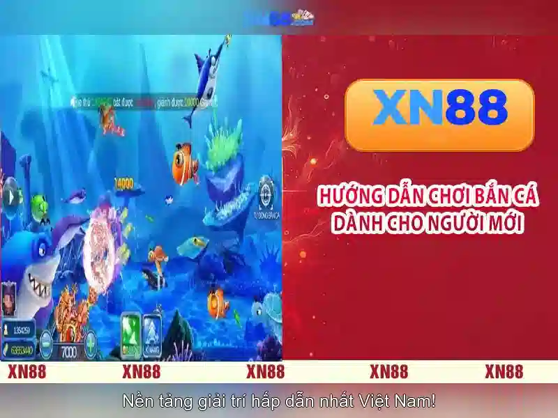 xn88: Đánh giá và tổng quan