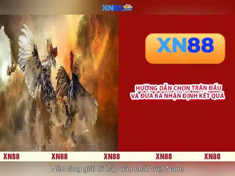 Các môn chơi và thể loại