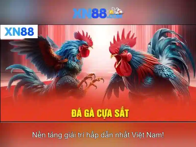 Giới thiệu xn88