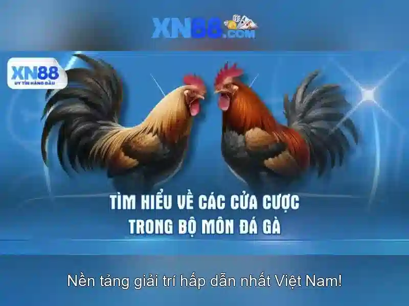 XN88: Tổng quan về nền tảng chơi game trực tuyến