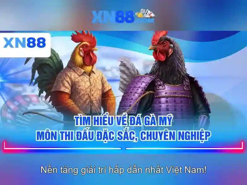 xn88: Tổng quan và ảnh hưởng trong cộng đồng cược trực tuyến