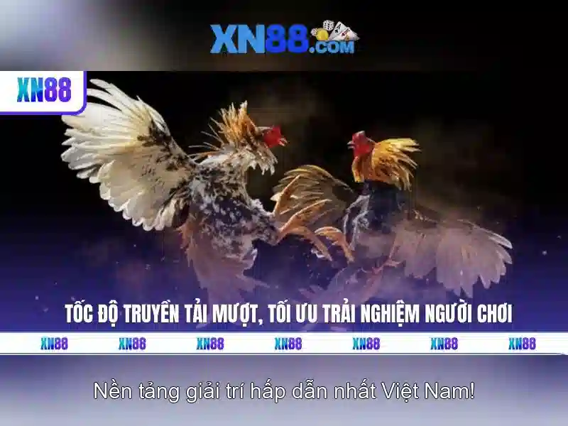 Giới thiệu về XN88