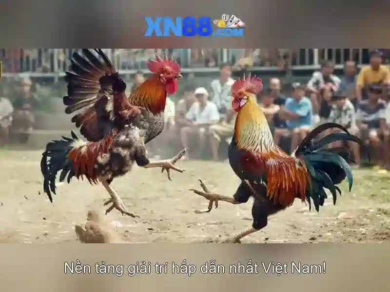xn88 là gì và tại sao được nhiều người tin dùng
