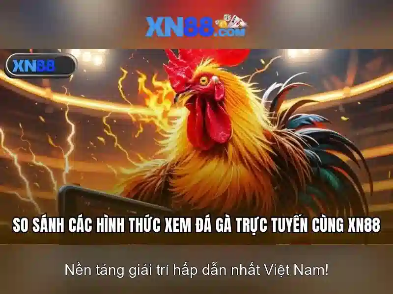 XN88: Tổng quan, hướng dẫn và an toàn
