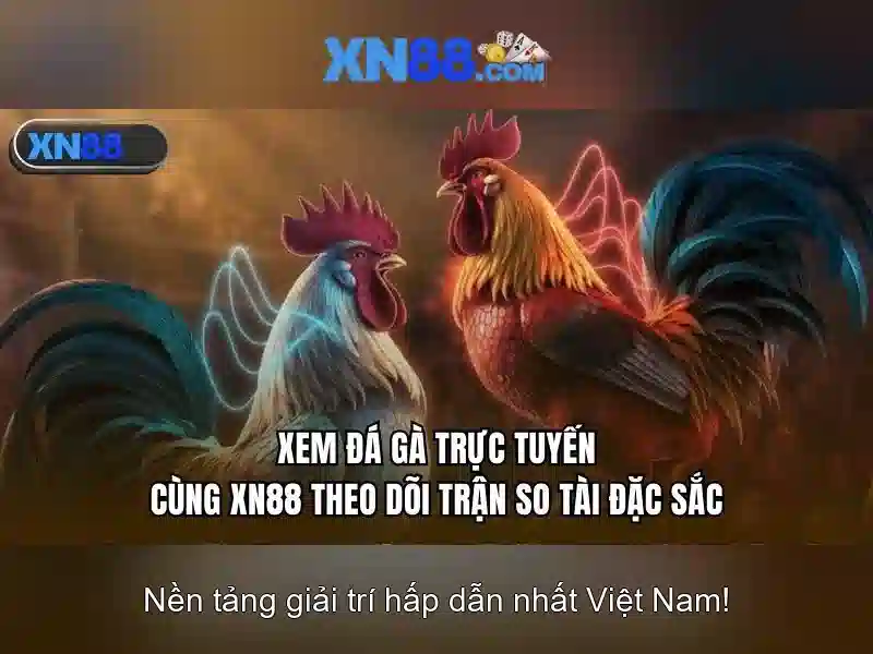 Các trò chơi và trải nghiệm