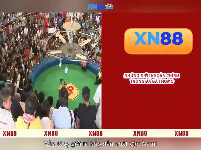 Xin giới thiệu về XN88