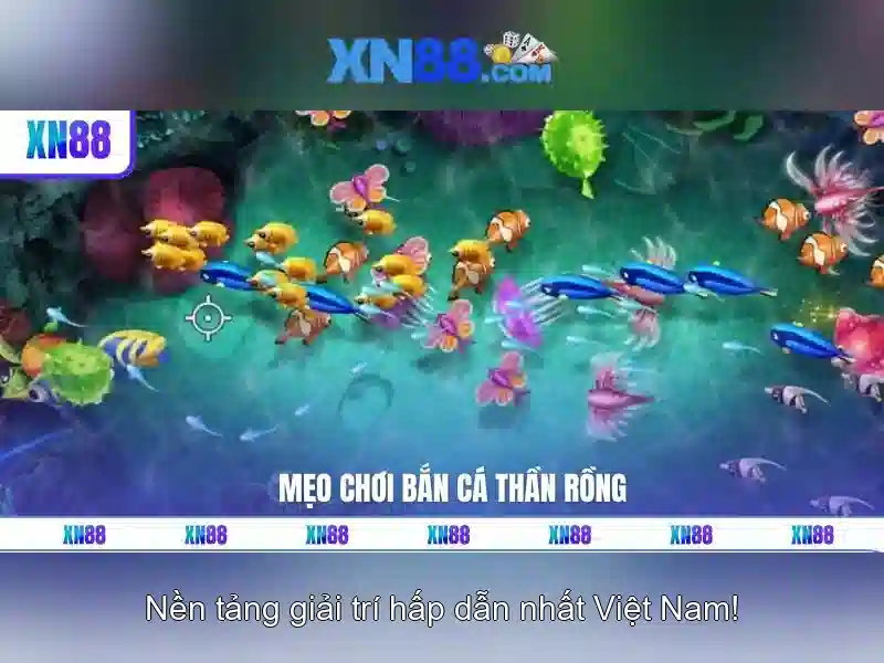 xn88 - Nền tảng cá cược trực tuyến và trải nghiệm người dùng