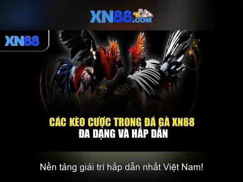 Các dịch vụ của XN88